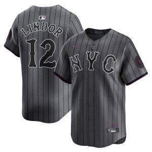Men's 2024 City Connect Vapor Premier Limited Jersey - Graphite - All Stitched